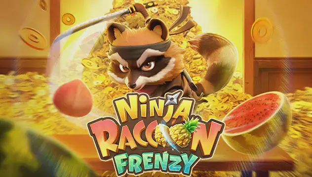 Ninja Raccoon Frenzy